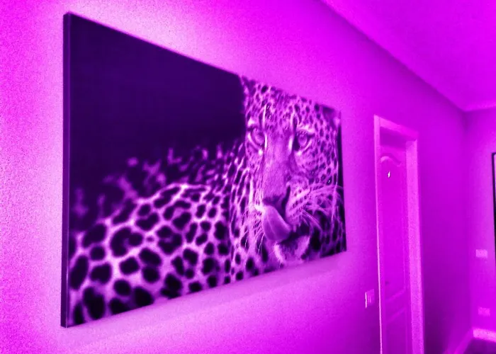 Luxury Affittacamere